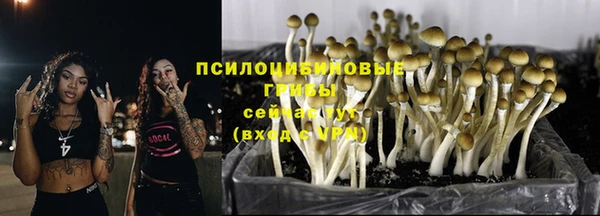 дурь Богородицк