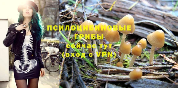 дурь Богородицк