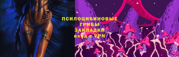 дурь Богородицк