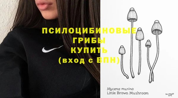 кокс Богородск