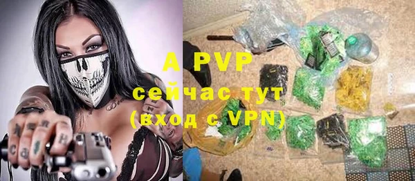 дурь Богородицк