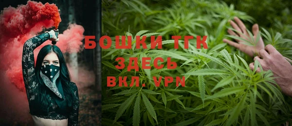 прущие грибы Беломорск