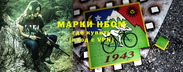 дурь Богородицк