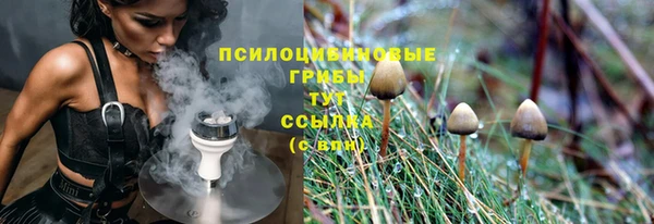 ALPHA PVP Богданович