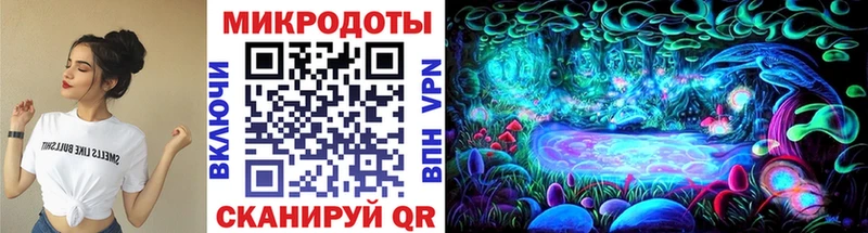 Галлюциногенные грибы Psilocybe Березники