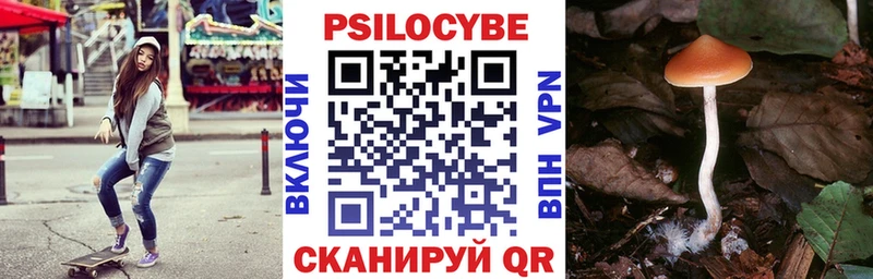 где купить наркоту  Березники  Псилоцибиновые грибы мицелий 